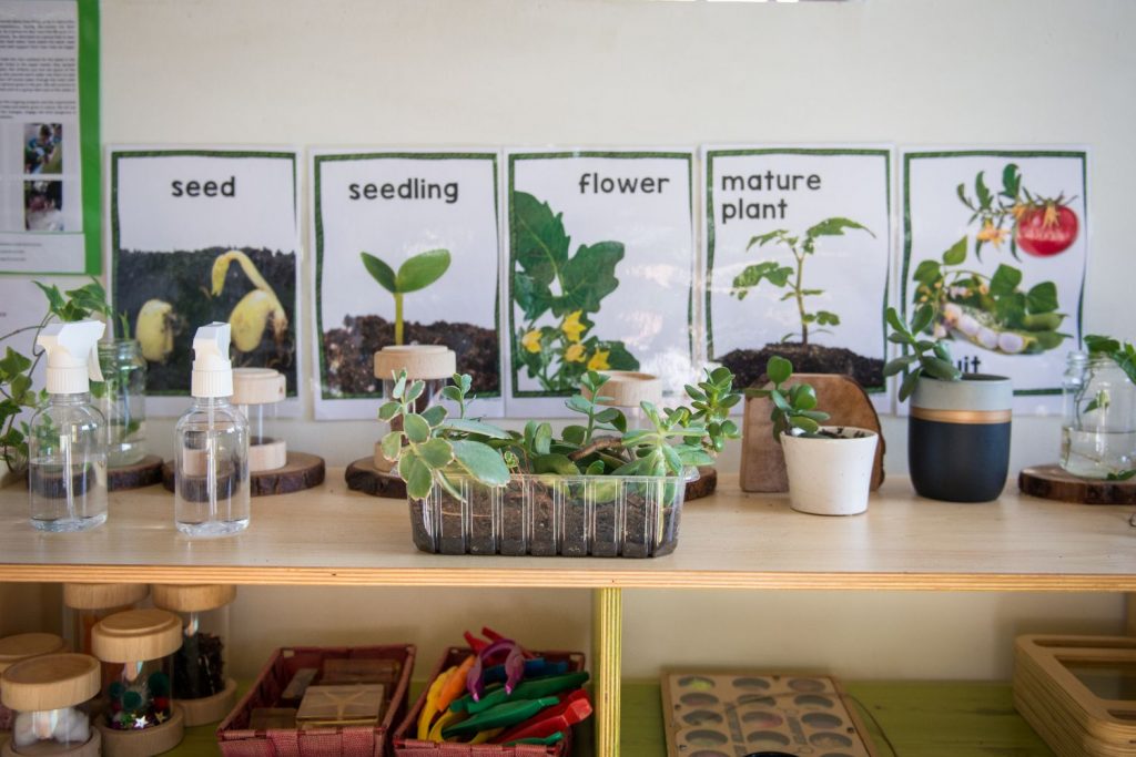 Learning about growing and taking care of plants - Kinder cottage GC